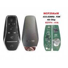 BYD Remote autokey RK03